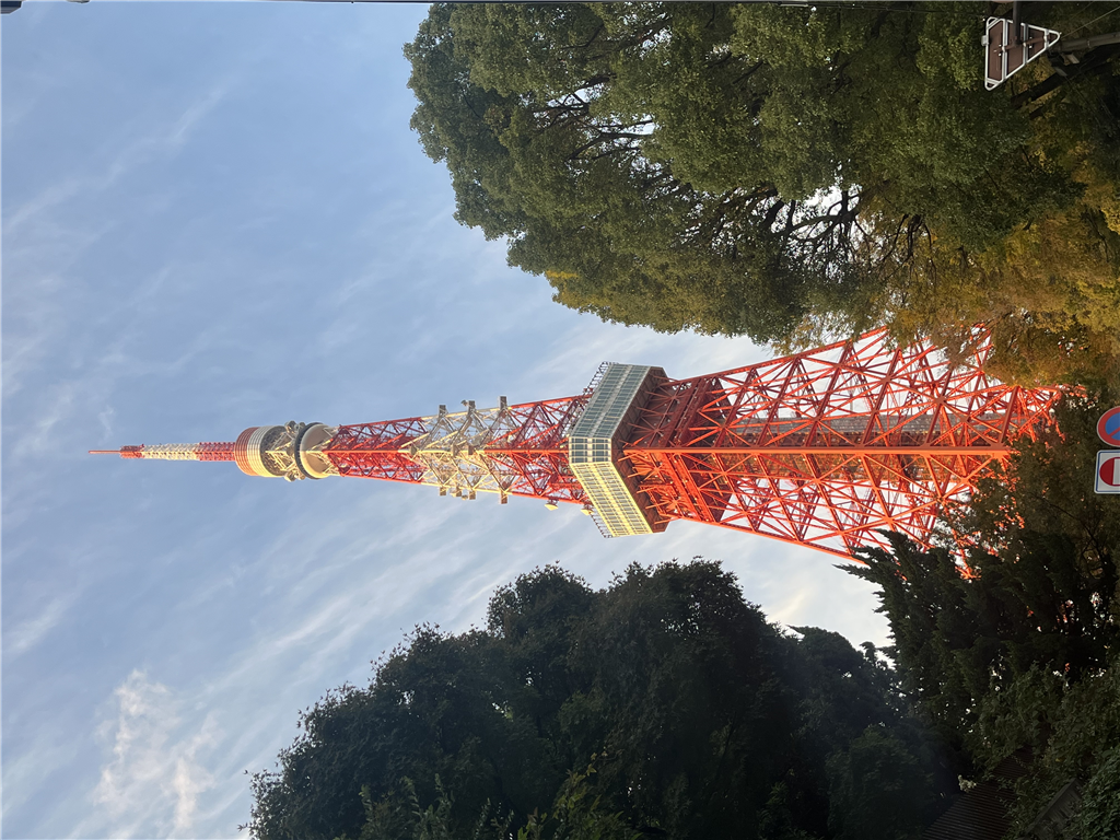 114學年運動會-張Ｏ傑精選相片